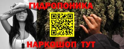 ECSTASY Вязники